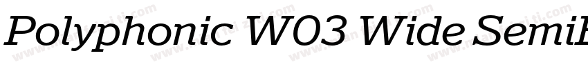 Polyphonic W03 Wide SemiBold字体转换
